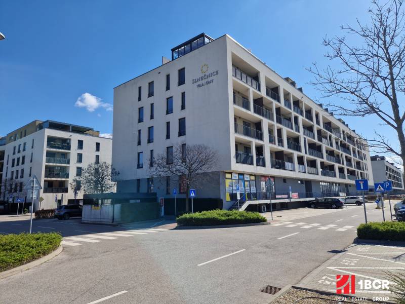 Slnečnice Žltá1Aa.jpg