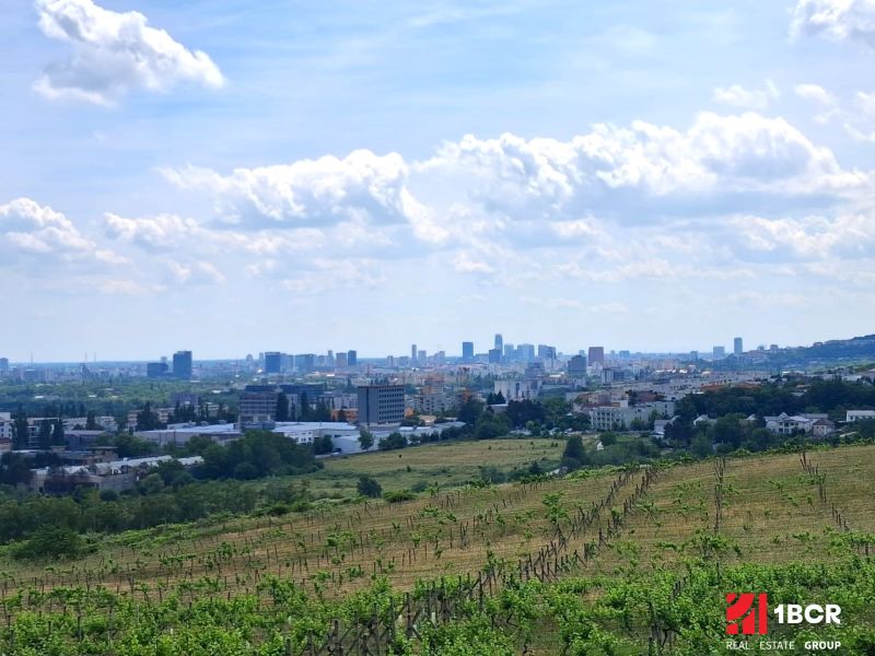 vinica Rača 1